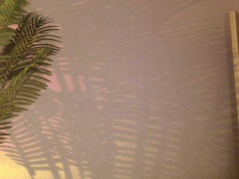 Maribett bongacams stream image