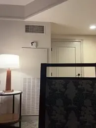 Bigbuttbrooklynn stripchat stream image