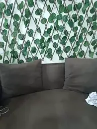 Bold-Cat stripchat stream image