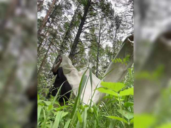 Molly-and-Ewa bongacams stream image