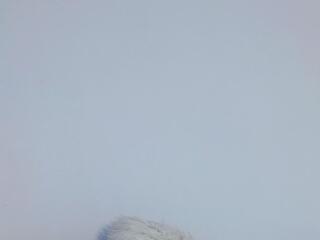 Alyssa Bonett flirt4free stream image