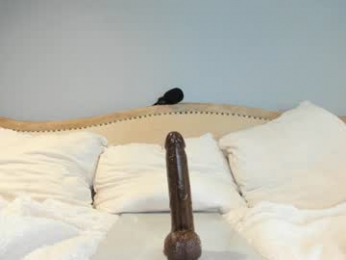 eatmygingersnapps chaturbate stream image