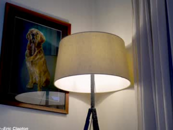 x_lily_x chaturbate stream image