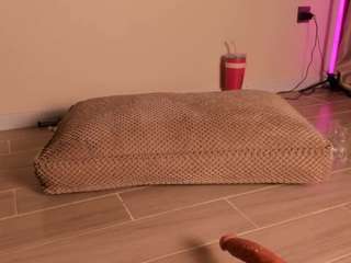 sugar-mirie camsoda stream image