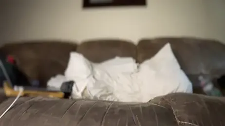 MobyDxck stripchat stream image