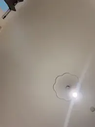 Musae stripchat stream image