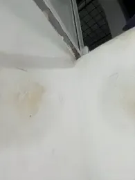 alejandra_flower stripchat stream image