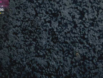 JessicaLLo bongacams stream image