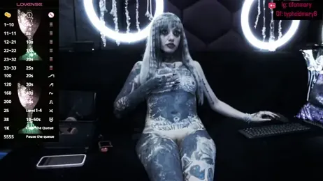 TyphoidMary stripchat stream image