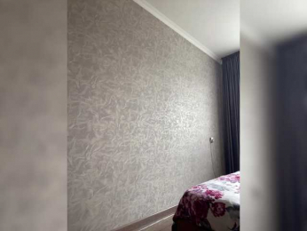 PALMIIRA bongacams stream image