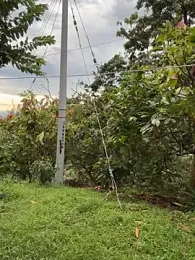 LINDA_PATTY94 stripchat stream image