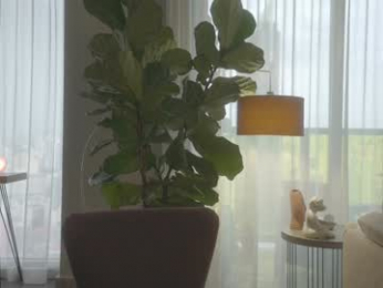 emma_lu1 chaturbate stream image