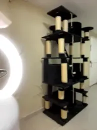 MiaJones21 stripchat stream image