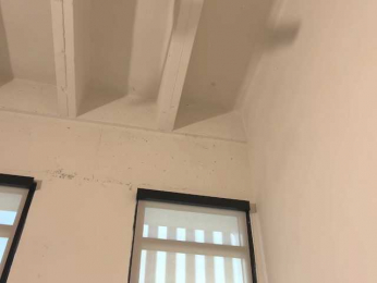 violet6xft bongacams stream image