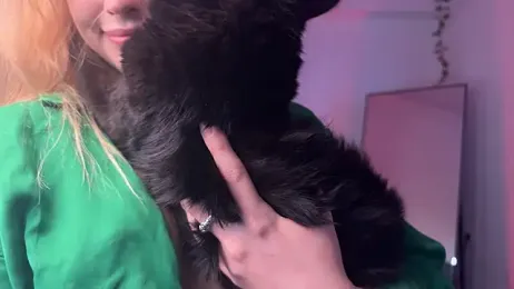 Erectioneereing stripchat stream image