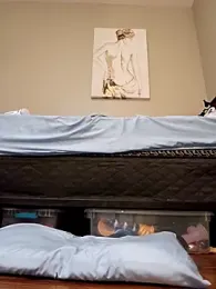 AmethystFoxx stripchat stream image