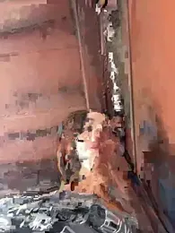 CrazzyChicks stripchat stream image