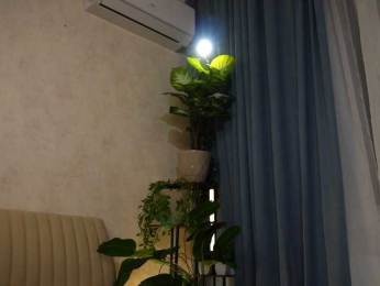 lika_ma bongacams stream image