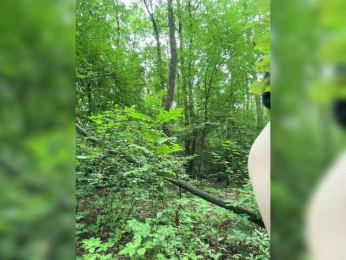 BabyDarii bongacams stream image