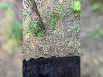 KatyKatS bongacams stream image