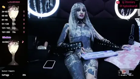 TyphoidMary stripchat stream image