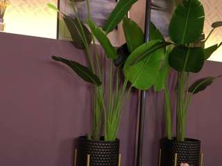 ellediane camsoda stream image