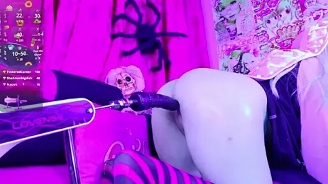 LaytonBox stripchat stream image