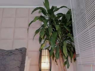 zhuyhong camsoda stream image