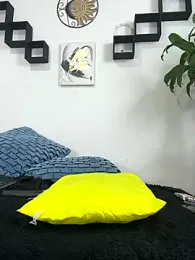 jamilaross stripchat stream image