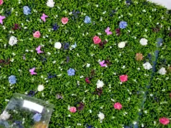 babyaylin chaturbate stream image