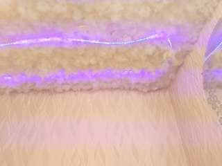 begoniia camsoda stream image, 13.02.2025 03:20