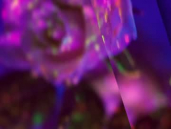 heybanan chaturbate stream image