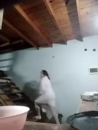 AyantiPonz79 stripchat stream image