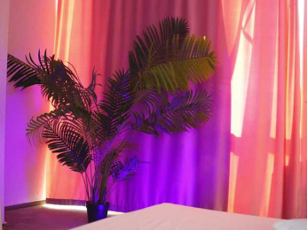 ArtTeasee bongacams stream image