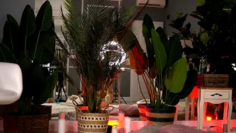 KellyMathews stripchat stream image