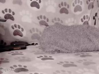 power_ranger_pink chaturbate stream image