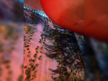 -Summer- bongacams stream image