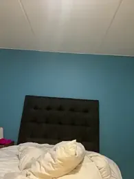 InkLady444 stripchat stream image