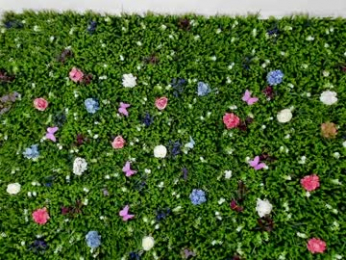 babyaylin chaturbate stream image