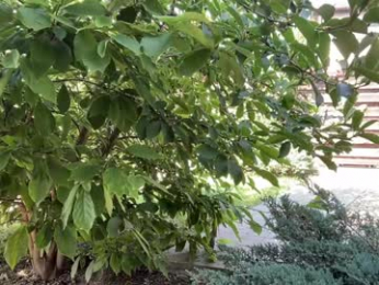 patry333 chaturbate stream image