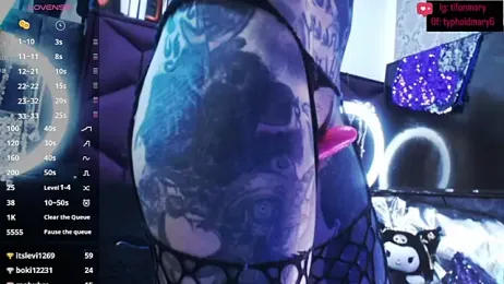 TyphoidMary stripchat stream image