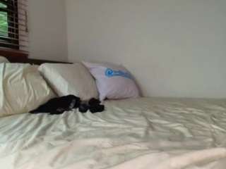 lexxxdrive camsoda stream image