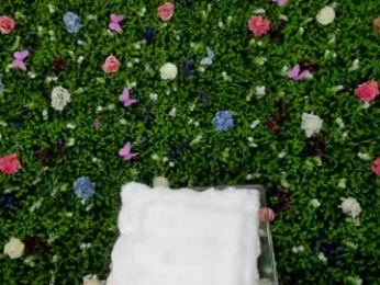 babyaylin chaturbate stream image