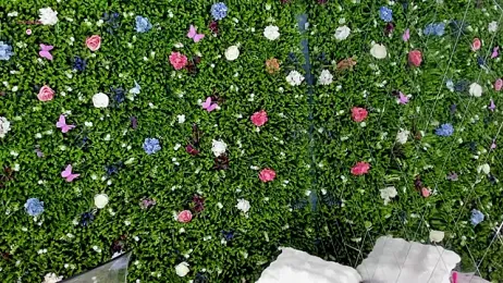 BabyAylin stripchat stream image