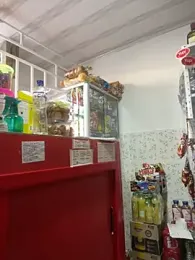 Sara_fun stripchat stream image