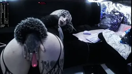 TyphoidMary stripchat stream image