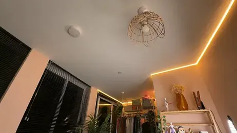 _vixenp stripchat stream image