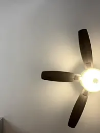 jaseyrae stripchat stream image