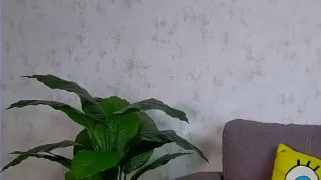 AshleyD_ stripchat stream image