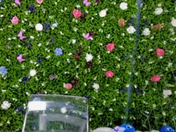 babyaylin chaturbate stream image